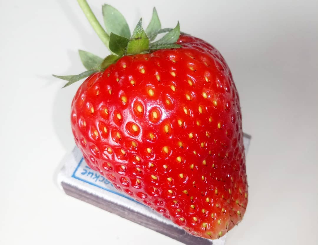 10 самых урожайных сортов клубники с сочными и вкусными ягодами: характеристики, достоинства и недостатки